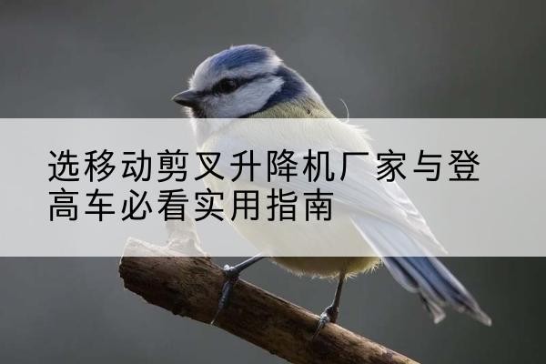 福绵电动升降机厂家-选移动剪叉升降机厂家与登高车必看实用指南