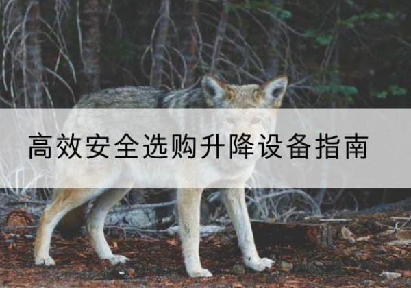 福绵升降货梯厂家推荐-*安全选购升降设备指南